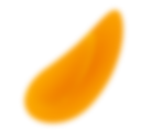 Pétalo de cempasúchil