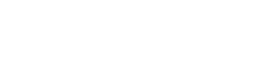 Logo Level Infinite